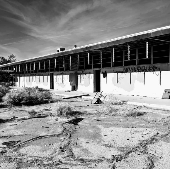 Meet your Posher, Lucy - Picture 1 of 1